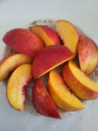 이연화님의 자유주제 · 자유게시판 작성글 사진