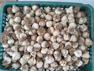 이연화님의 작성글 사진