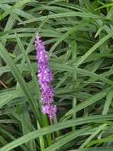 팜모닝 자유주제·자유게시판 게시글 이미지