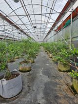 팜모닝 자유주제·자유게시판 게시글 이미지