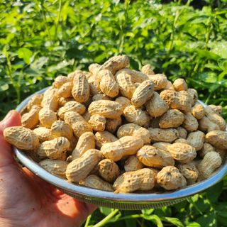 약초를사랑한짱아줌마님의 작성글 사진