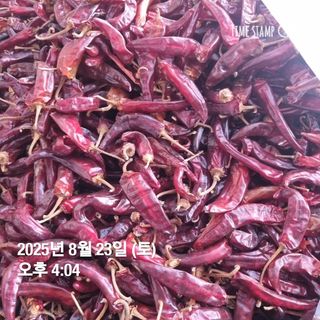 민들레님의 자유주제 · 자유게시판 작성글 사진