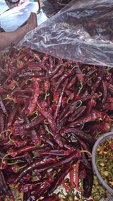 팜모닝 자유주제·자유게시판 게시글 이미지