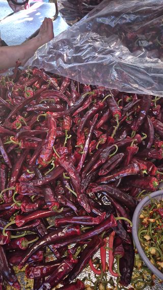 망치님의 자유주제 · 자유게시판 작성글 사진