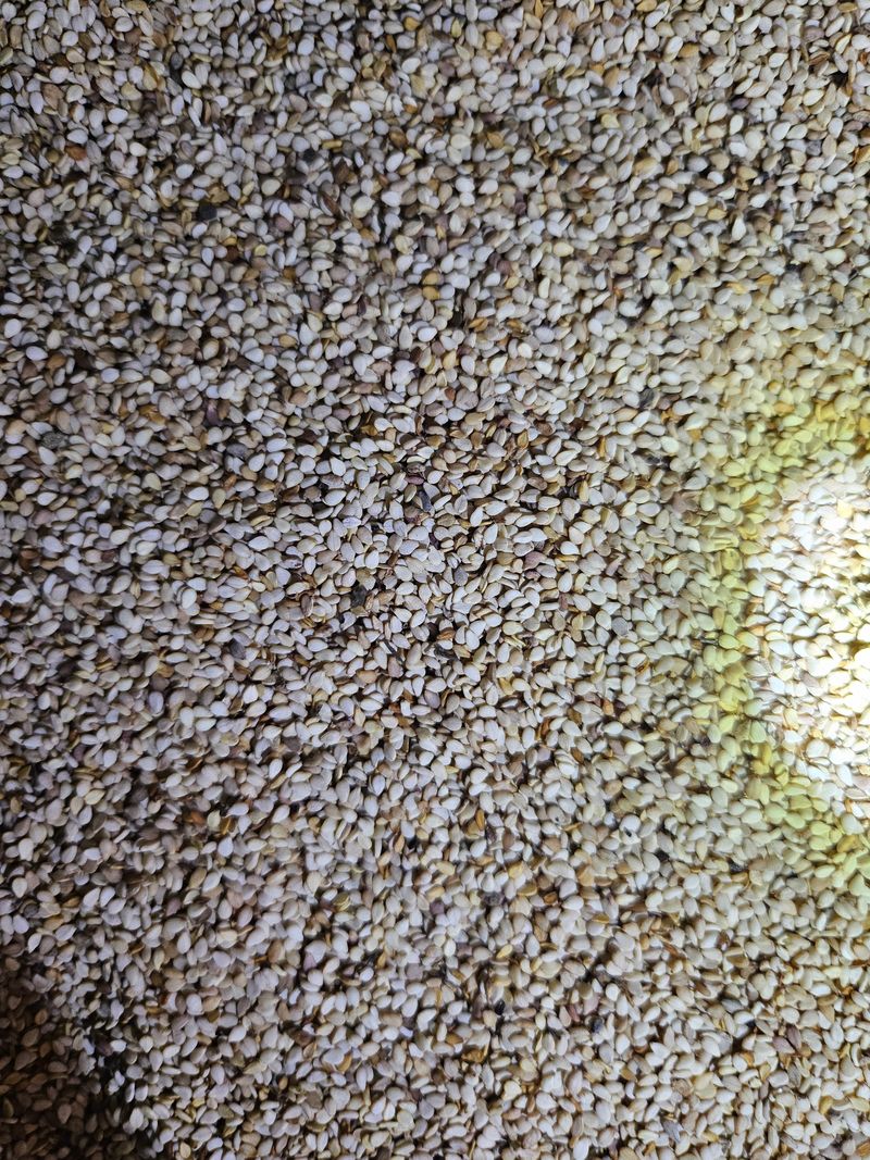 정옥령님의 장터 판매 상품 [햇 참기름 350ml 1병] 첨부 사진