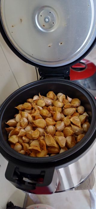 초보퍼머5도2촌준비님의 자유주제 · 자유게시판 작성글 사진