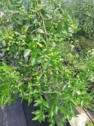 전희분님의 자유주제 · 자유게시판 작성글 사진