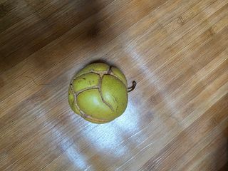 이원복님의 자유주제 · 사진전 작성글 사진