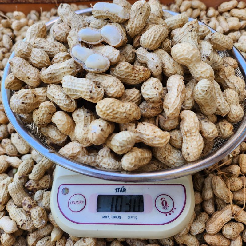 약초를사랑한짱아줌마님의 장터 판매 상품 [국산 토종 흰알땅콩 1kg(껍질없음)] 첨부 사진