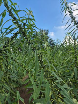 김연숙님의 작성글 사진