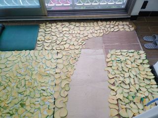 이현상님의 자유주제 · 자유게시판 작성글 사진