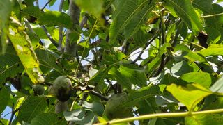 정석구님의 자유주제 · 자유게시판 작성글 사진