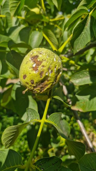 정석구님의 자유주제 · 자유게시판 작성글 사진