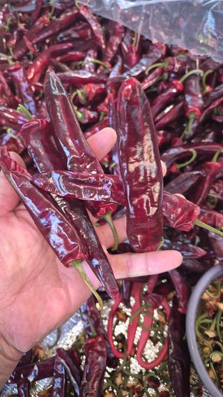 망치님의 자유주제 · 자유게시판 작성글 사진