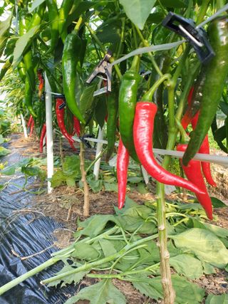 서봉열님의 자유주제 · 자유게시판 작성글 사진