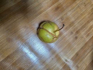 이원복님의 자유주제 · 사진전 작성글 사진