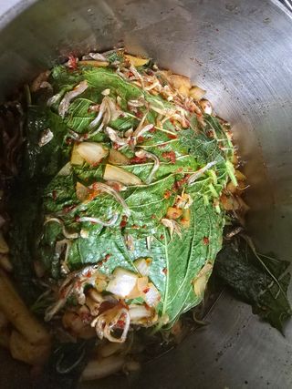 고추농사 정 미라님의 자유주제 · 자유게시판 작성글 사진