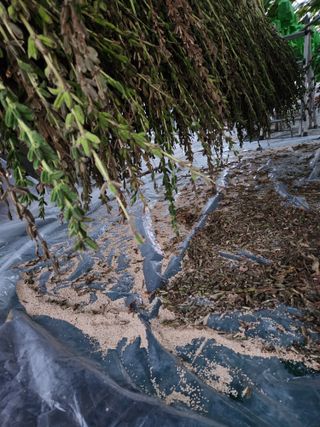 터골농장님의 자유주제 · 자유게시판 작성글 사진