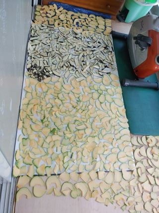 이현상님의 자유주제 · 자유게시판 작성글 사진