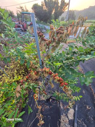 전홍열님의 작성글 사진