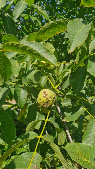 정석구님의 자유주제 · 자유게시판 작성글 사진