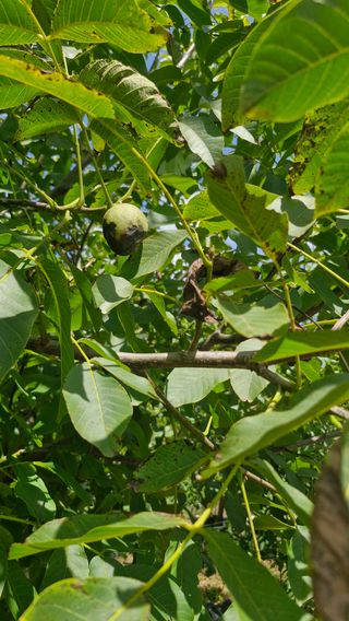 정석구님의 자유주제 · 자유게시판 작성글 사진