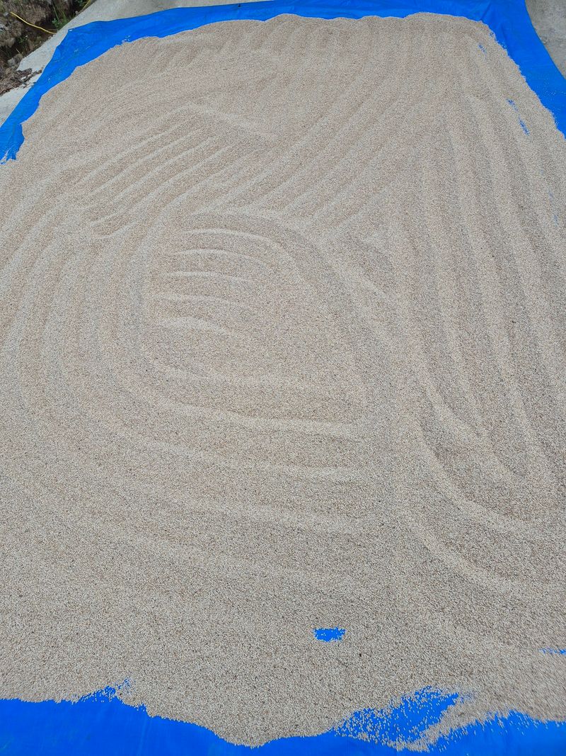 김연숙님의 장터 판매 상품 [백장군참깨 1kg] 첨부 사진