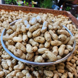 약초를사랑한짱아줌마님의 작성글 사진