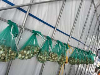 이연화님의 작성글 사진