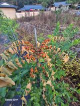 팜모닝 · 게시글 이미지