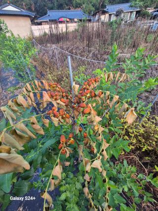 전홍열님의 작성글 사진