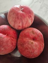 팜모닝 자유주제·자유게시판 게시글 이미지