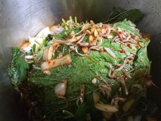 고추농사 정 미라님의 자유주제 · 자유게시판 작성글 사진