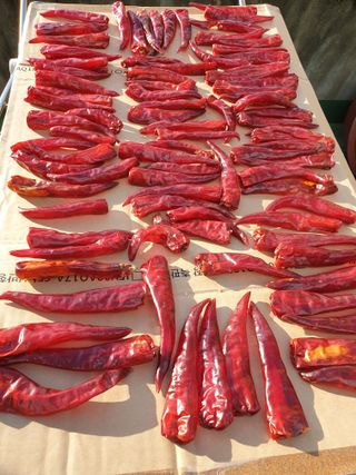 서봉열님의 자유주제 · 자유게시판 작성글 사진