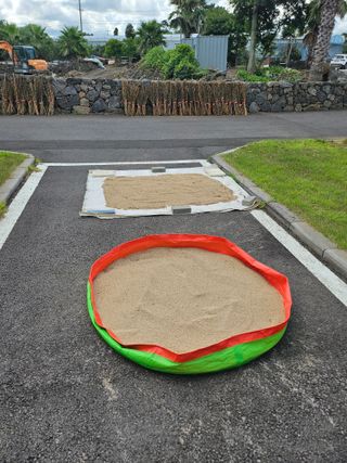 제주님의 참깨 · 자유게시판 작성글 사진