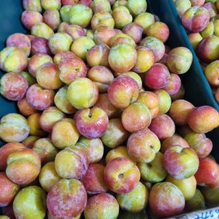 황대규님의 자유주제 · 사진전 작성글 사진