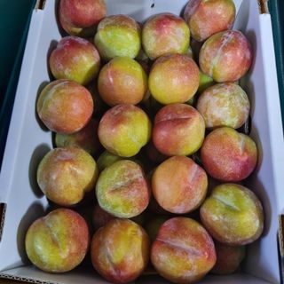 황대규님의 자유주제 · 사진전 작성글 사진