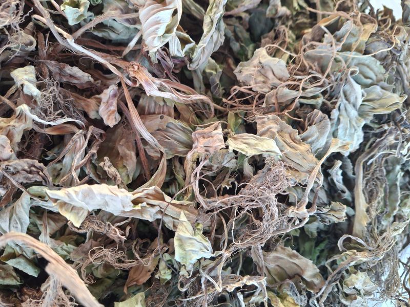 강정순님의 장터 판매 상품 [질겅이] 첨부 사진