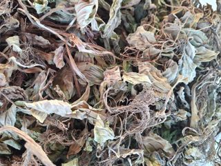 강정순님의 작성글 사진