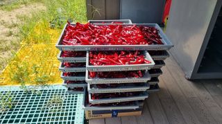 아침농원님의 자유주제 · 자유게시판 작성글 사진