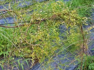 이창신님의 자유주제 · 자유게시판 작성글 사진