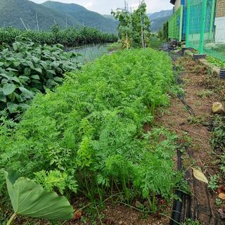 이종권님의 자유주제 · 자유게시판 작성글 사진