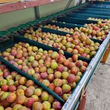 팜모닝 자유주제·사진전 게시글 이미지