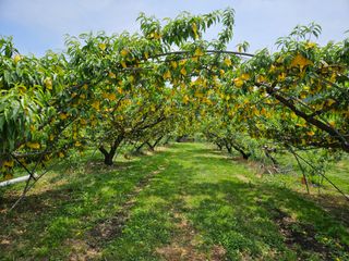 박창수님의 자유주제 · 자유게시판 작성글 사진
