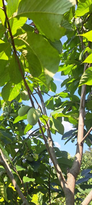 백동감님의 자유주제 · 자유게시판 작성글 사진