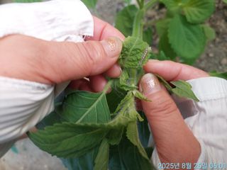 황대헌님의 자유주제 · 자유게시판 작성글 사진