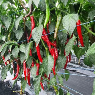 이종권님의 자유주제 · 자유게시판 작성글 사진