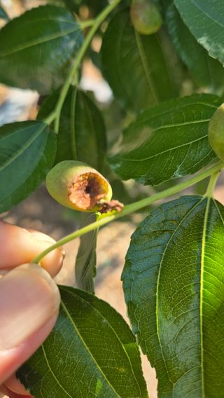 김진님의 자유주제 · 자유게시판 작성글 사진