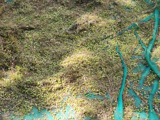 이창신님의 자유주제 · 자유게시판 작성글 사진