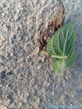 황대헌님의 자유주제 · 자유게시판 작성글 사진